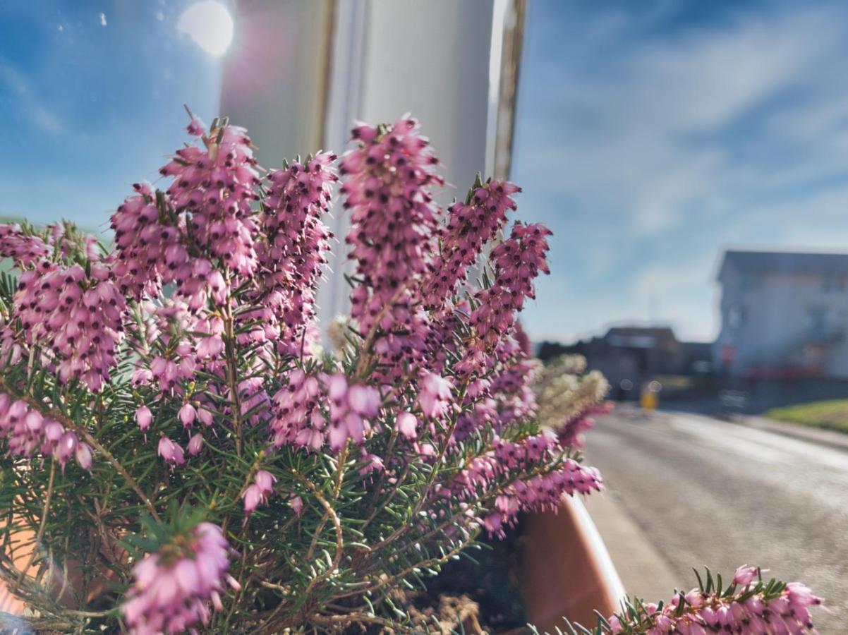 The Heathers - Near Beach & Free Golf Bag & Clubs. Apartment Maybole Екстериор снимка